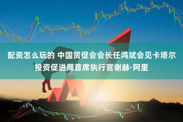 配资怎么玩的 中国贸促会会长任鸿斌会见卡塔尔投资促进局首席执行官谢赫·阿里