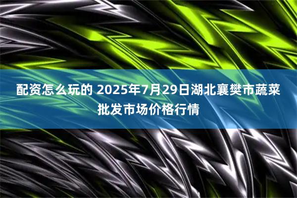 配资怎么玩的 2025年7月29日湖北襄樊市蔬菜批发市场价格行情