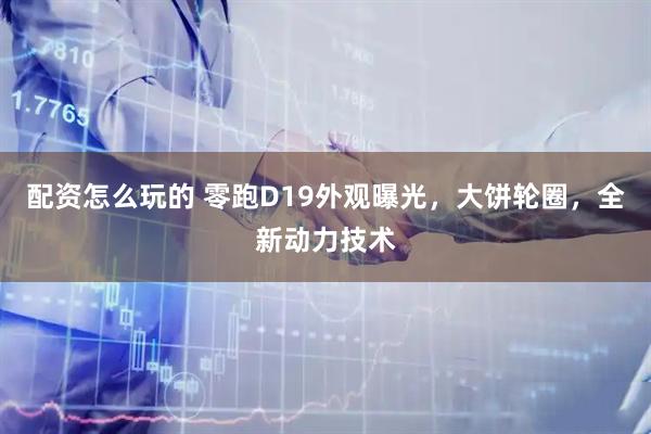 配资怎么玩的 零跑D19外观曝光，大饼轮圈，全新动力技术