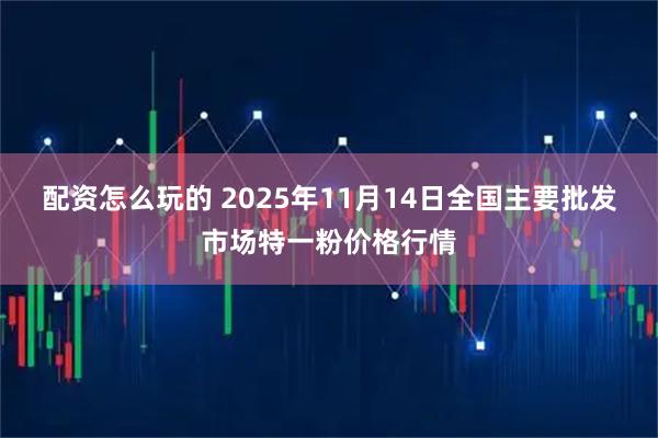 配资怎么玩的 2025年11月14日全国主要批发市场特一粉价格行情